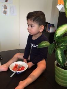 2015-08-21 Sylvain eet aartbeien van Rowan