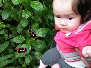 2011-10-14 Chloe in Blijdorp vlindertuin4