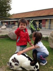 2013-08-24 Chloe met Tiom op de kinderboerderij23