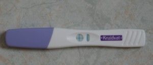 2010-08-05 zwanger