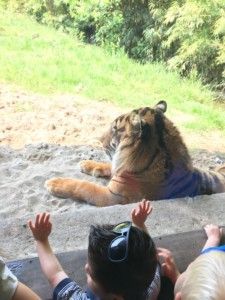 2016-06-04 Sylvain met vader-zoon-dag029