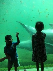 2016-07-23 Kids naar Dolfinarium05