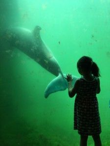 2016-07-23 Kids naar Dolfinarium10