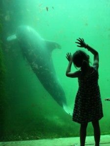 2016-07-23 Kids naar Dolfinarium13