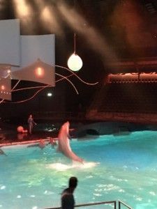 2016-07-23 Kids naar Dolfinarium19