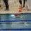 Blog 1250! Mijn tweede zwemwedstrijd